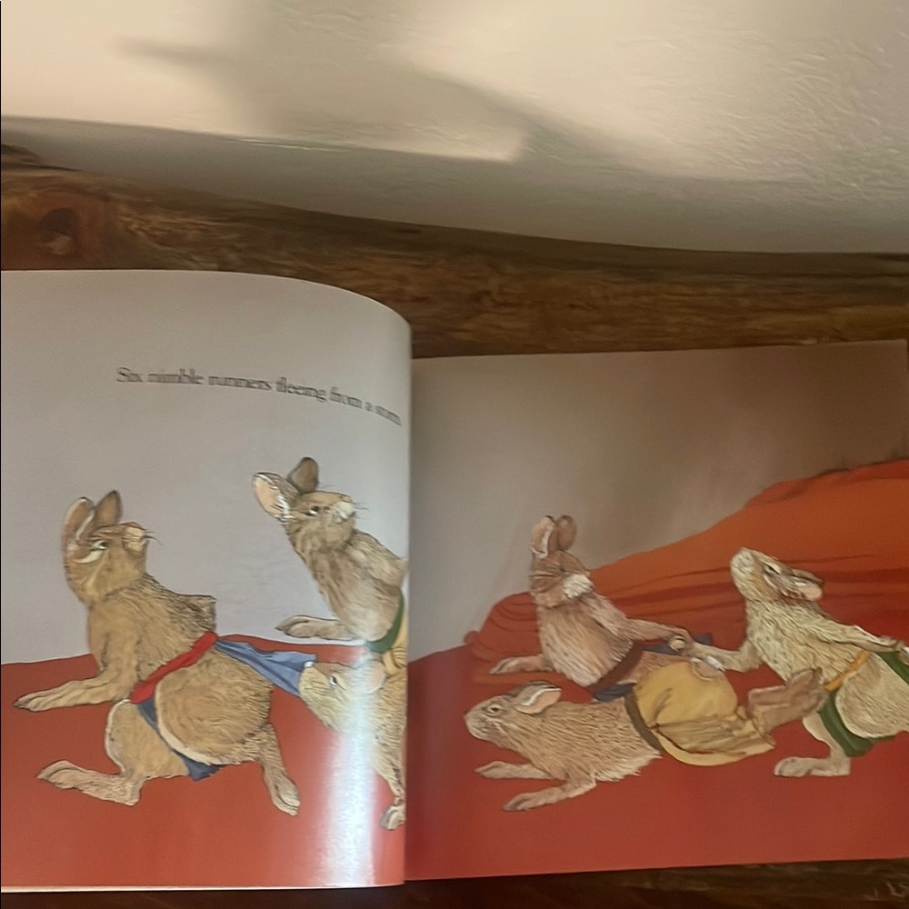 Raven and Ten Little Rabbits Paperback Book Set - Picture 15 of 16
